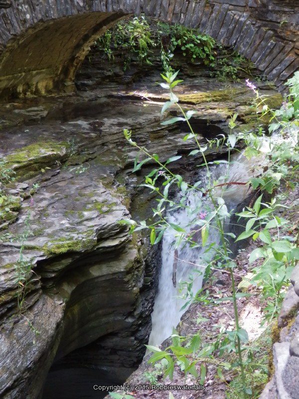 ARCADIA FALLS in WATKINS GLEN  SCHUYLER CENTRAL NY 8-10-2013_00006.JPG ARCADIA FALLS in WATKINS GLEN  SCHUYLER CENTRAL NY 8-10-2013_00006.JPG