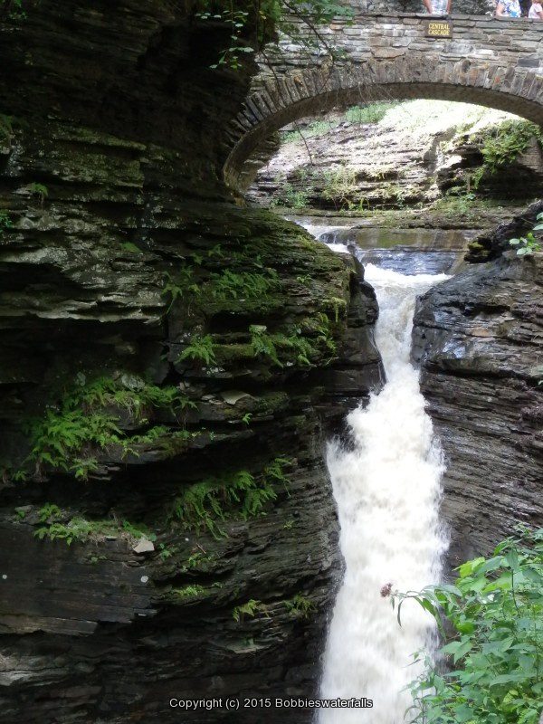 CENTRAL CASCADE in WATKINS GLEN SCHUYLER CENTRAL NY 8-10-2013_00006.JPG CENTRAL CASCADE in WATKINS GLEN SCHUYLER CENTRAL NY 8-10-2013_00006.JPG