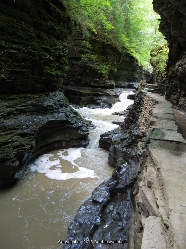 OMEGA FALLS in WATKINS GLEN SCHUYLER COUNTY CENTRAL NEW YORK 8-10-2013_00005.JPG OMEGA FALLS in WATKINS GLEN SCHUYLER COUNTY CENTRAL NEW YORK 8-10-2013_00005.JPG
