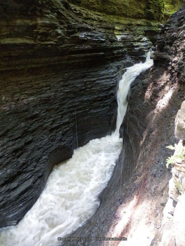 PLUTO FALLS in WATKINS GLEN SCHUYLER COUNTY CENTRAL NEW YORK 8-10-2013_00004.JPG PLUTO FALLS in WATKINS GLEN SCHUYLER COUNTY CENTRAL NEW YORK 8-10-2013_00004.JPG