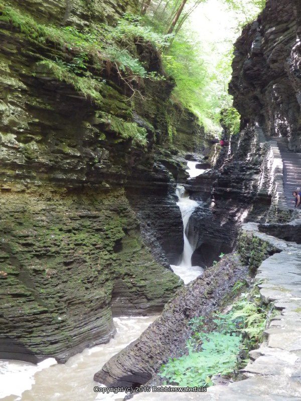 POOL OF NYMPHS in WATKINS GLEN SCHUYLER CENTRAL NEW YORK 8-10-2013_00002.JPG POOL OF NYMPHS in WATKINS GLEN SCHUYLER CENTRAL NEW YORK 8-10-2013_00002.JPG