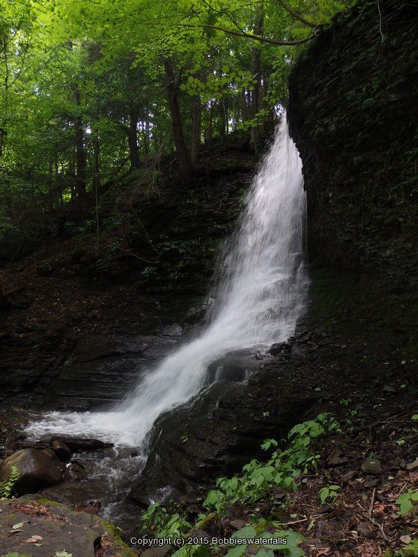 BUCKTAIL FALLS ONONADAGA 6-14-2015_00009.JPG BUCKTAIL FALLS ONONADAGA 6-14-2015_00009.JPG