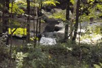 LOBDELL MILL FALLS ALBANY COUNTY EASTERN NEW YORK 8-17-2013_00002.JPG