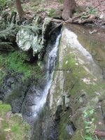 BUTTERMILK FALLS GREEN COUNTY SOUTHERN NEW YORK 8-18-2013_00003.JPG