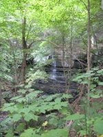 BUTTERMILK FALLS GREEN COUNTY SOUTHERN NEW YORK 8-18-2013_00005.JPG