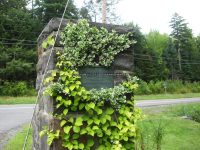 HAINES FALLS GREEN COUNTY SOUTHERN NEW YORK 8-18-2013_00008.JPG