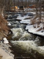FURNANCE CREEK ONEIDA COUNTY CENTRAL NEW YORK 4-2-2014_00002.JPG