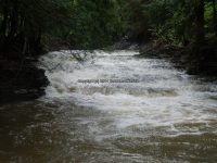 LITTLE SCHOHARIE UPPER FALLS SCHOHARIE EASTERN NY 5-26-2013_00003.JPG