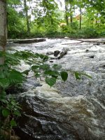 FURNANCE CREEK ONEIDA COUNTY CENTRAL NEW YORK 6-30-2013_00002.JPG