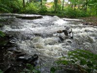 FURNANCE CREEK ONEIDA COUNTY CENTRAL NEW YORK 6-30-2013_00004.JPG