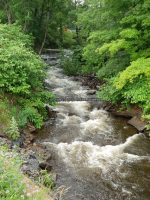 FURNANCE CREEK ONEIDA COUNTY CENTRAL NEW YORK 6-30-2013_00006.JPG
