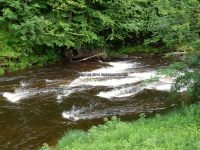 RIVER ROAD ONEIDA CENTRAL NY 6-30-2013_00004.JPG
