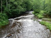 RIVER ROAD ONEIDA CENTRAL NY 6-30-2013_00007.JPG