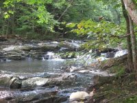 COXSACKIE CREEK FALLS GREEN COUNTY SOUTHERN NEW YORK 8-19-2013_00005.JPG