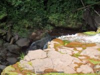 WATUGA FALLS DELAWARE COUNTY CENTRAL NEW YORK 8-10-2014_00021.JPG