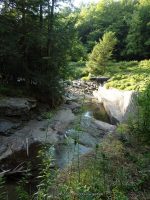 TOMPKINS FALLS DELAWARE COUNTY CENTRAL NEW YORK 8-10-2014_00007.JPG