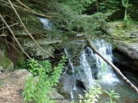 TOMPKINS FALLS DELAWARE COUNTY CENTRAL NEW YORK 8-10-2014_00008.JPG