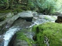 TOMPKINS FALLS DELAWARE COUNTY CENTRAL NEW YORK 8-10-2014_00013.JPG