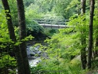 RUSSELL BROOK FALLS DELAWARE COUNTY CENTRAL NEW YORK 8-10-2014_00018.JPG