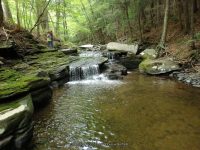 CANADA FALLS DELAWARE COUNTY CENTRAL NEW YORK 8-10-2014_00004.JPG