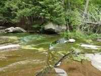 CANADA FALLS DELAWARE COUNTY CENTRAL NEW YORK 8-10-2014_00006.JPG