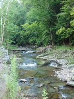 BARKABOOM STREAM falls on DELAWARE COUNTY CENTRAL NEW YORK 8-10-2014_00002.JPG