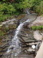 FALLS on RTE 30 DELAWARE COUNTY CENTRAL NEW YORK 8-10-2014_00002.JPG