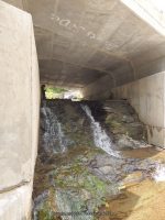 FALLS on RTE 30 DELAWARE COUNTY CENTRAL NEW YORK 8-10-2014_00008.JPG