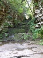 BUTTERMILK FALLS OWEGO TIOGA COUNTY CENTRAL NEW YORK 8-9-2014_00004.JPG