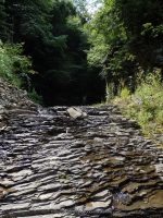 BUTTERMILK FALLS OWEGO TIOGA COUNTY CENTRAL NEW YORK 8-9-2014_00009.JPG