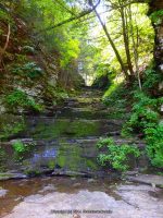 BUTTERMILK FALLS OWEGO TIOGA COUNTY CENTRAL NEW YORK 8-9-2014_00015.JPG