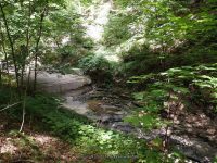 WAVERLY GLEN FALLS TIOGA COUNTY CENTRAL NEW YORK 8-9-2014_00007.JPG