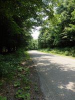 BUTTERMILK FALLS (NEW BERLIN)CHENANGO COUNTY CENTRAL NEW YORK 8-8-2014_00001.JPG