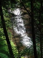BUTTERMILK FALLS (NEW BERLIN)CHENANGO COUNTY CENTRAL NEW YORK 8-8-2014_00005.JPG