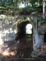 NEWLANDS FALLS ONEIDA CENTRAL NY 7-24-2014_00003.JPG