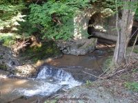 NEWLANDS FALLS ONEIDA CENTRAL NY 7-24-2014_00005.JPG