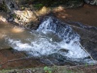 NEWLANDS FALLS ONEIDA CENTRAL NY 7-24-2014_00006.JPG