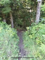 NEWLANDS FALLS ONEIDA CENTRAL NY 7-24-2014_00015.JPG
