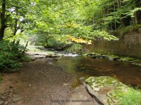BEAVERKILL FALLS SULLIVAN COUNTY SOUTHERN NEW YORK 8-23-2014_00006.JPG