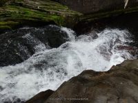 BEAVERKILL FALLS SULLIVAN COUNTY SOUTHERN NEW YORK 8-23-2014_00010.JPG