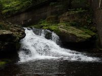 BEAVERKILL FALLS SULLIVAN COUNTY SOUTHERN NEW YORK 8-23-2014_00017.JPG