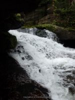 BEAVERKILL FALLS SULLIVAN COUNTY SOUTHERN NEW YORK 8-23-2014_00020.JPG