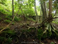 CATTAIL FALLS SULLIVAN COUNTY SOUTHERN NEW YORK 8-23-2014_00003.JPG