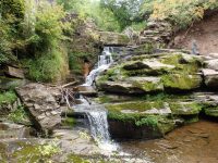 CATTAIL FALLS SULLIVAN COUNTY SOUTHERN NEW YORK 8-23-2014_00004.JPG