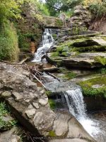 CATTAIL FALLS SULLIVAN COUNTY SOUTHERN NEW YORK 8-23-2014_00007.JPG