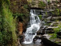 CATTAIL FALLS SULLIVAN COUNTY SOUTHERN NEW YORK 8-23-2014_00008.JPG