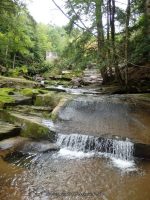 CATTAIL FALLS SULLIVAN COUNTY SOUTHERN NEW YORK 8-23-2014_00013.JPG