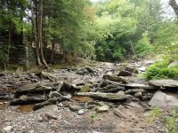 CATTAIL FALLS SULLIVAN COUNTY SOUTHERN NEW YORK 8-23-2014_00015.JPG