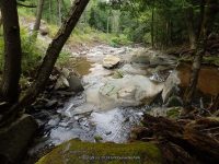 CATTAIL FALLS SULLIVAN COUNTY SOUTHERN NEW YORK 8-23-2014_00016.JPG