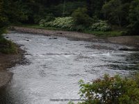 COOKS FALLS DELAWARE COUNTY CENTRAL NEW YORK 8-23-2014_00004.JPG